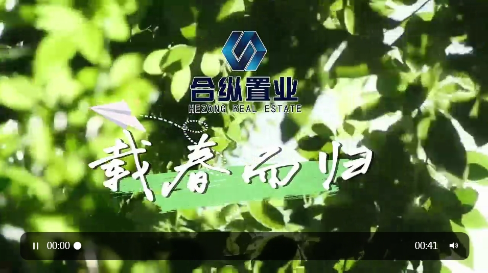 聊城合纵置业有限公司